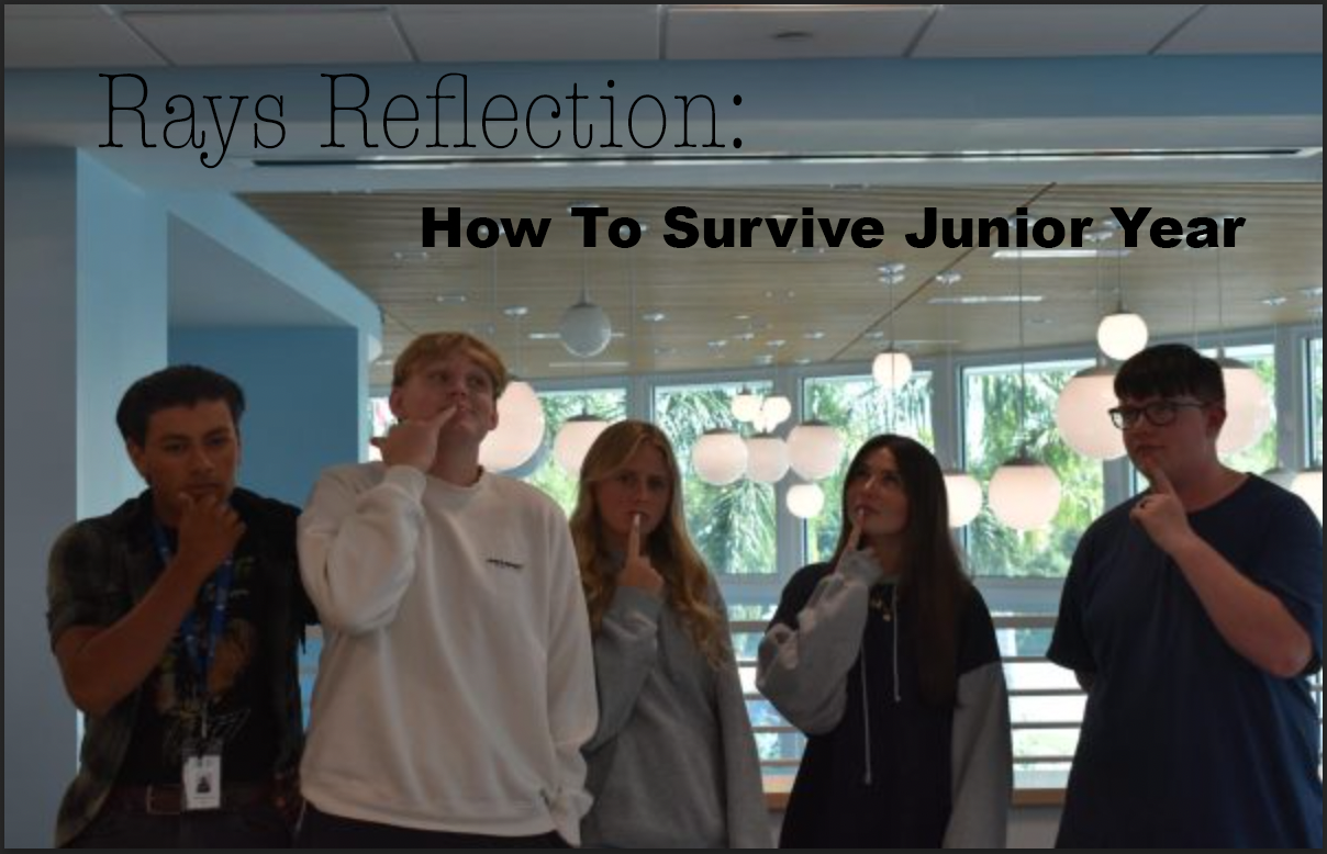 Rays Reflection - How To Survive Junior Year